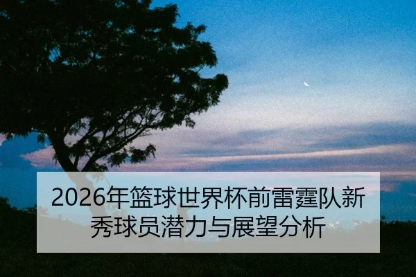 nian-lan-qiu-shi-jie-bei-qian-lei-ting-dui-xin-xiu-qiu-yuan-qian-li-yu-zhan-wang-fen-xi-2-574.jpg