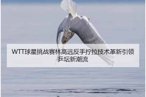 WTT球星挑战赛林高远反手拧拉技术革新引领乒坛新潮流