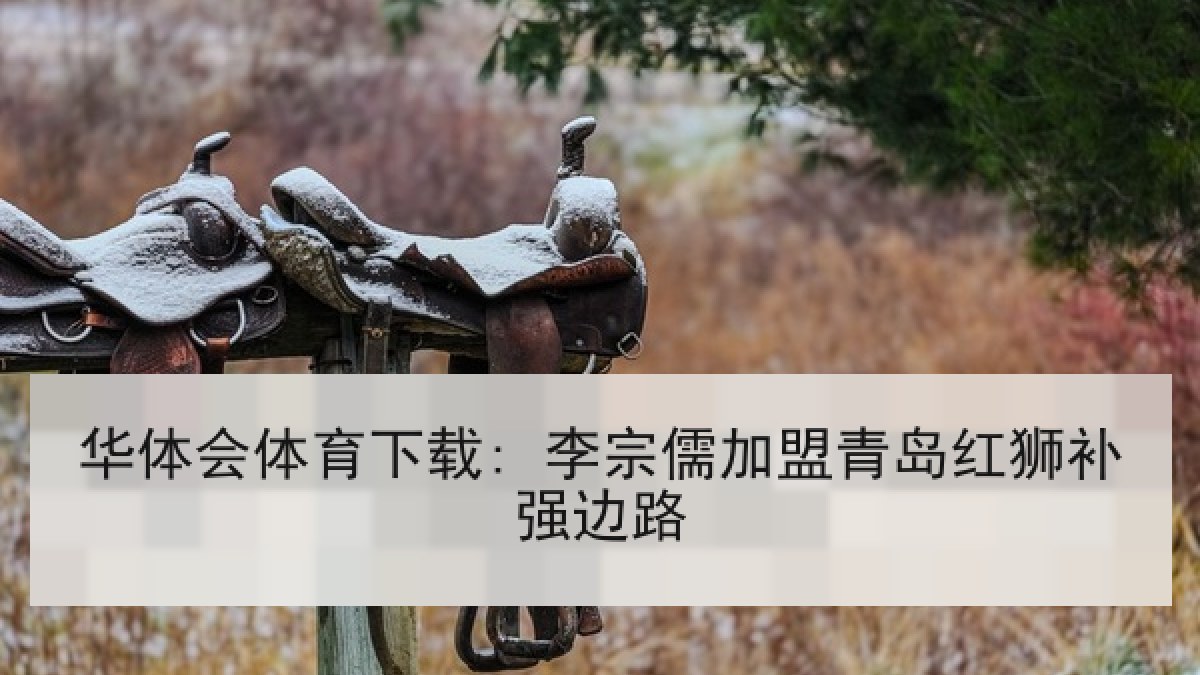 华体会体育下载: 李宗儒加盟青岛红狮补强边路