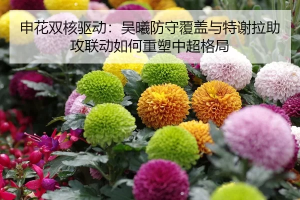 shen-hua-shuang-he-qu-dong-wu-xi-fang-shou-fu-gai-yu-te-xie-la-zhu-gong-lian-dong-ru-he-zhong-su-zhong-chao-ge-ju-2-149.jpg