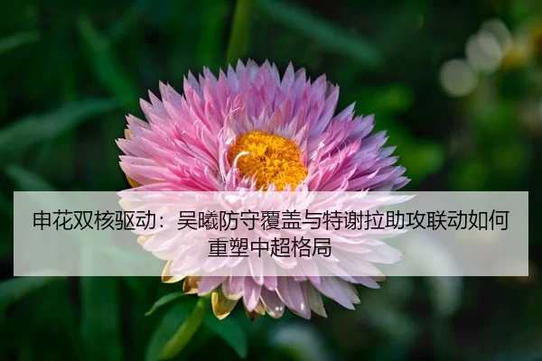 shen-hua-shuang-he-qu-dong-wu-xi-fang-shou-fu-gai-yu-te-xie-la-zhu-gong-lian-dong-ru-he-zhong-su-zhong-chao-ge-ju-3-705.jpg