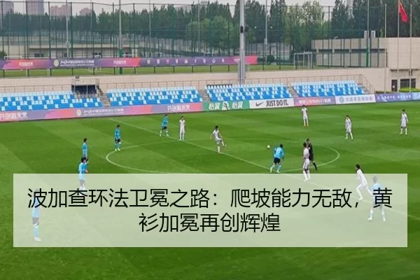 bo-jia-cha-huan-fa-wei-mian-zhi-lu-pa-po-neng-li-wu-di-huang-shan-jia-mian-zai-chuang-hui-huang-3-196.jpg