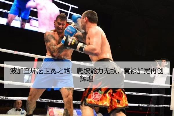 波加查环法卫冕之路：爬坡能力无敌，黄衫加冕再创辉煌