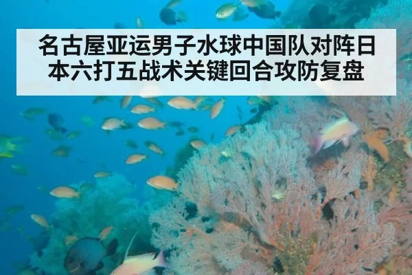 名古屋亚运男子水球中国队对阵日本六打五战术关键回合攻防复盘